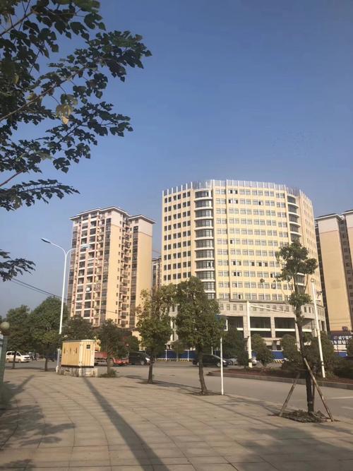 咸宁市聚龙房地产开发有限公司